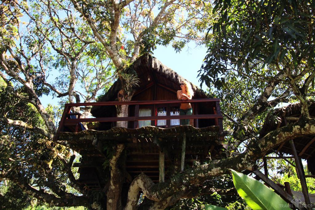 Art Jungle Hotel Itacaré Exterior foto
