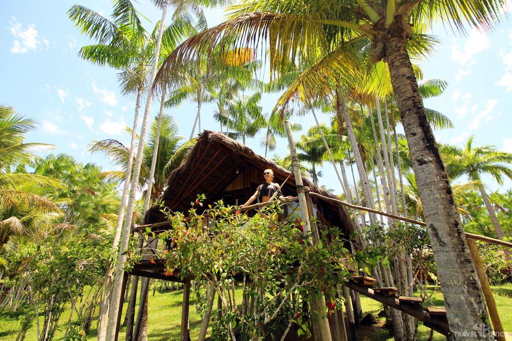 Art Jungle Hotel Itacaré Exterior foto