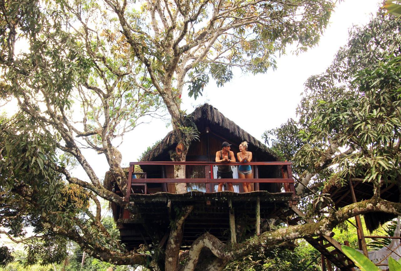 Art Jungle Hotel Itacaré Exterior foto